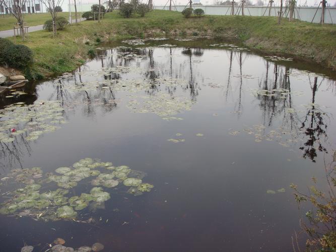 无锡城北污水厂人工湿地图片