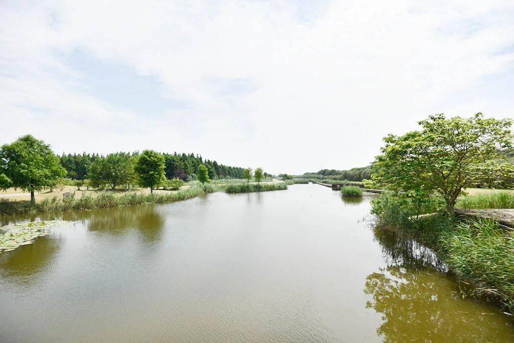 走近人工湿地,共建生态园区_保护