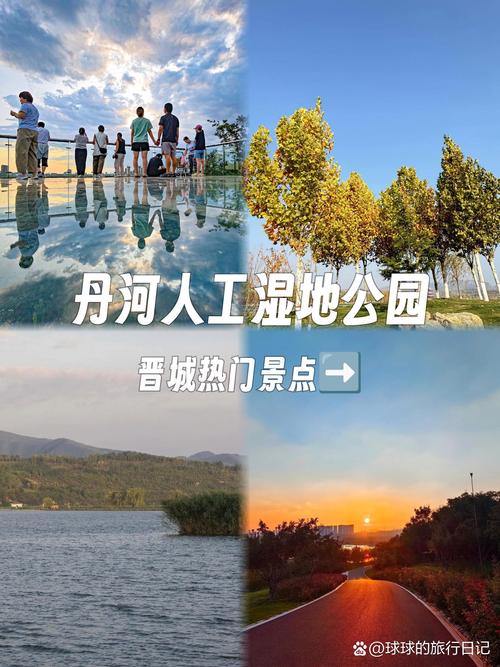 人工湿地 功能、类型与应用前景